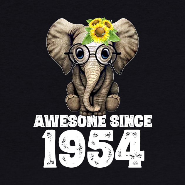 Awesome since 1954 66 Years Old Bday Gift 66th Birthday by DoorTees